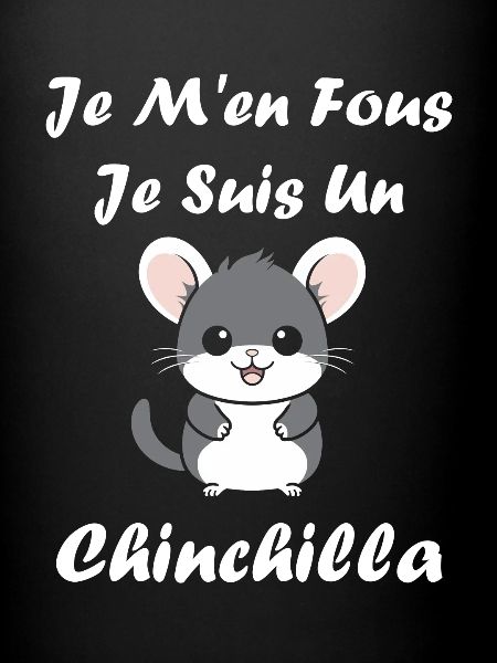 Petit chinchilla mignon