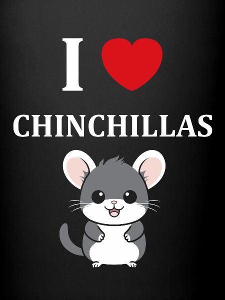 Petit chinchilla mignon