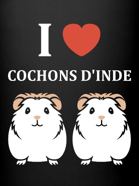 Humour cochon d'ine