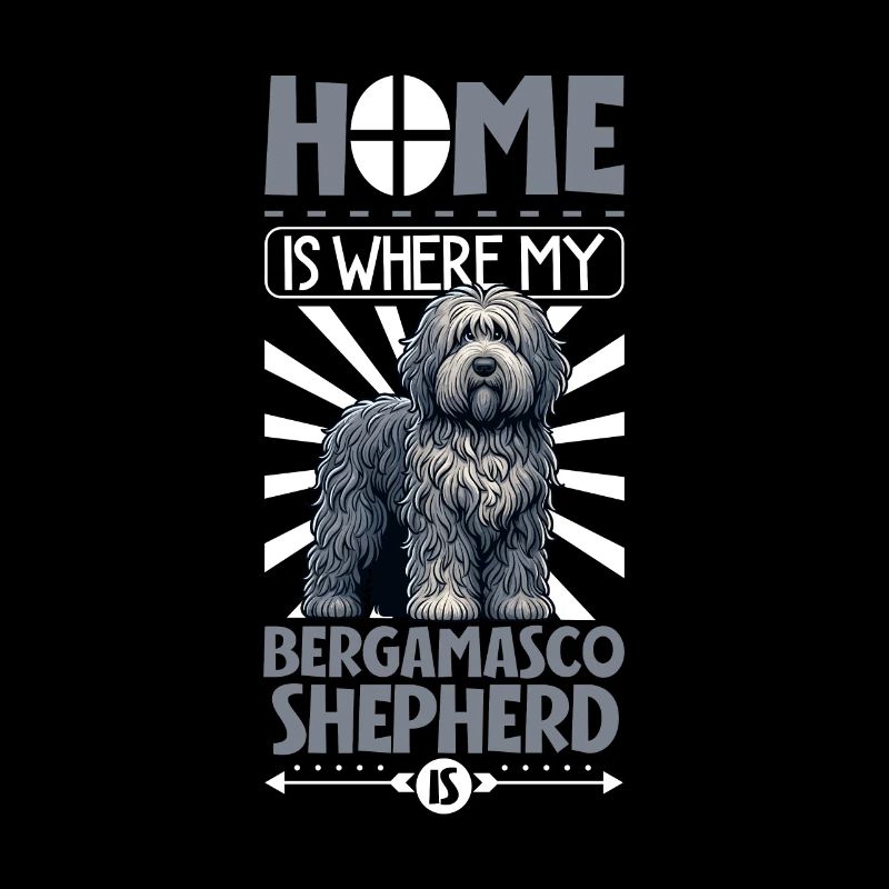 Accueil - Bergamo Shepherd Dog