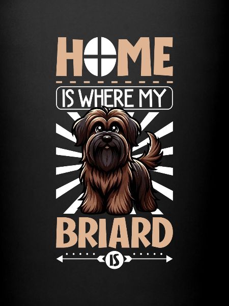 Accueil - Briard