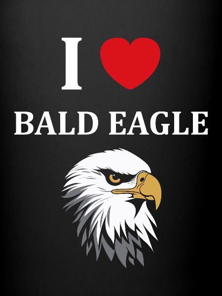 Citation humour Oiseau aigle