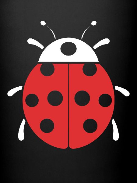 Little Ladybug