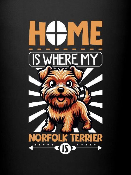 Accueil - Norfolk Terrier