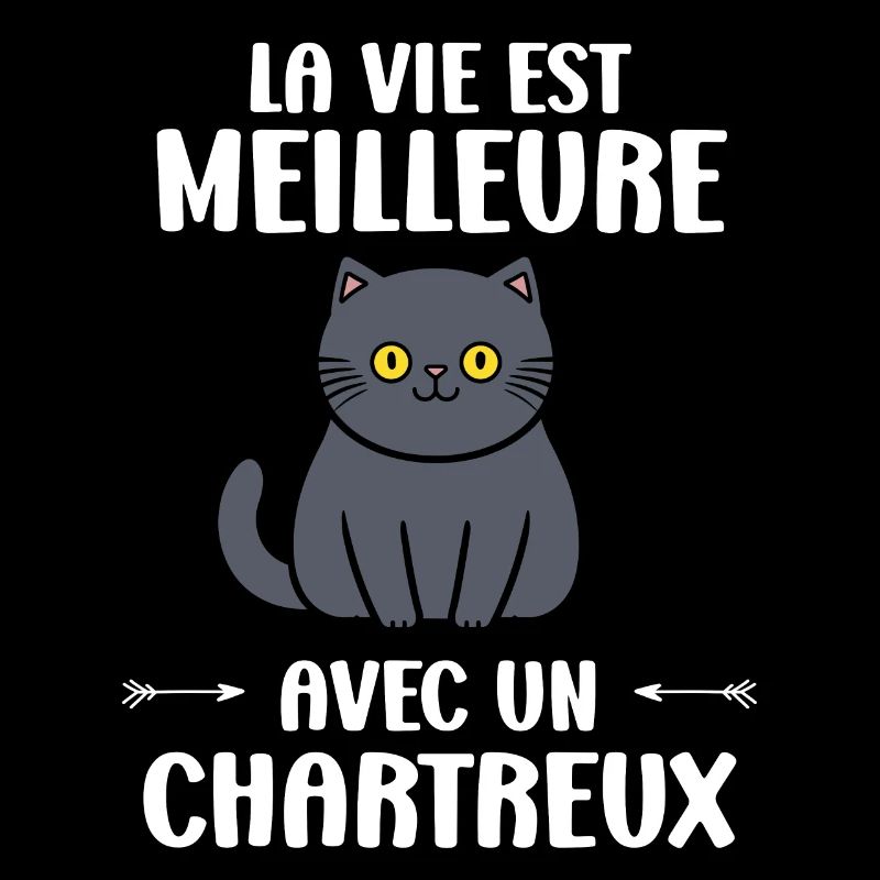 Humour chat chartreux