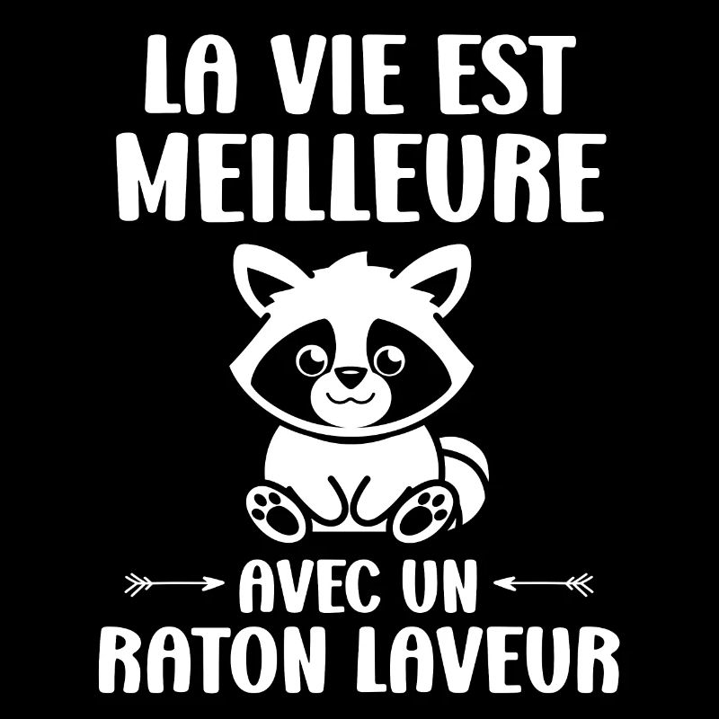 Humour Raton laveur