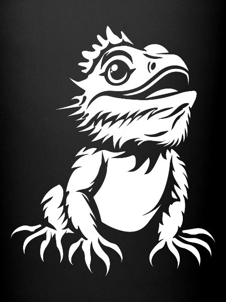Bearded Dragon