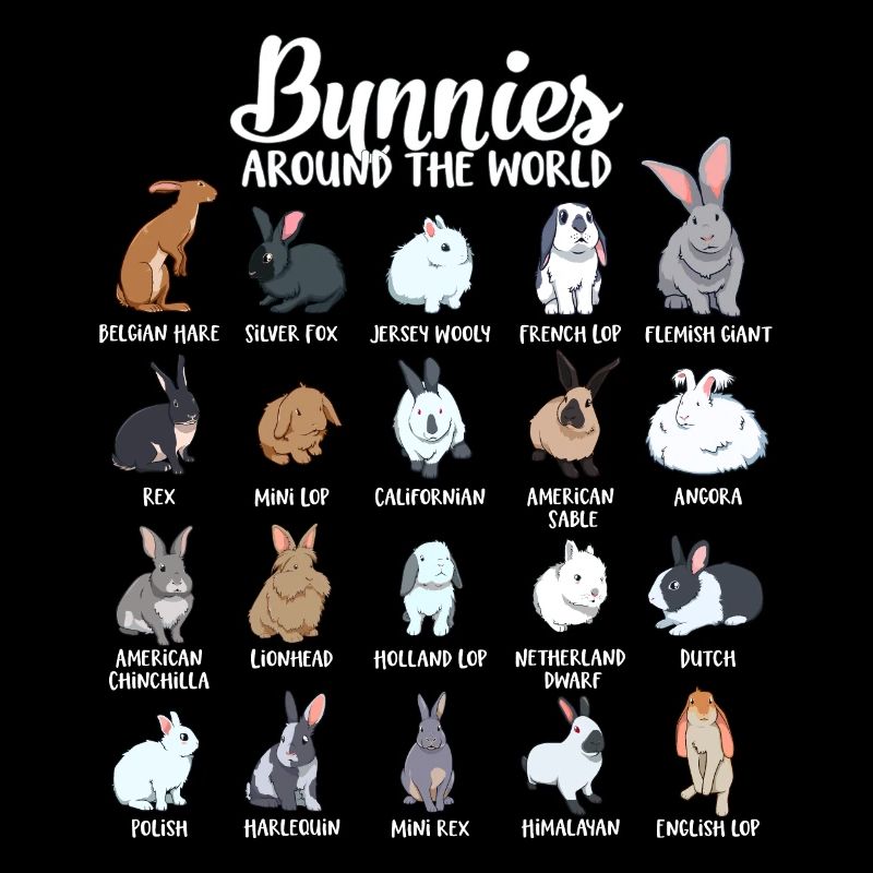 Rabbits of the World - Rabbit