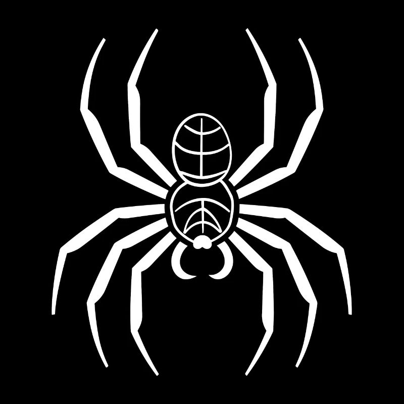 Spinne