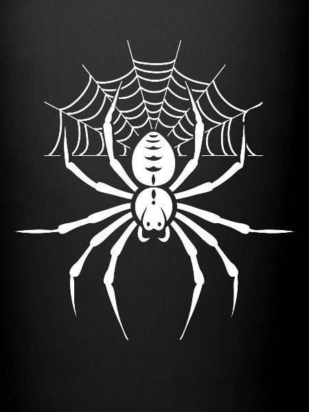 araignée