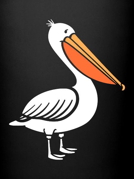 pélican