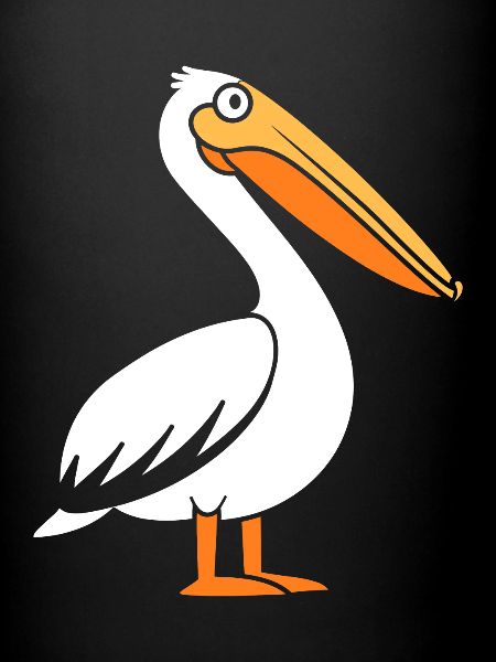 pelican