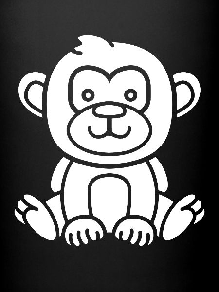 Baboon monkey