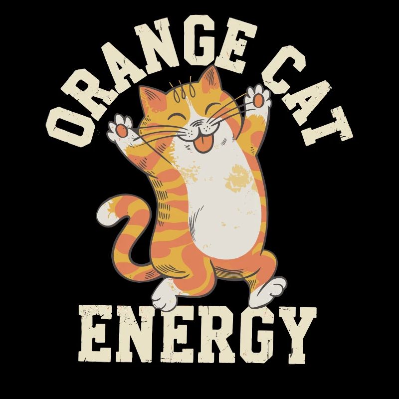 Tabby Orange Cat Cat Lover