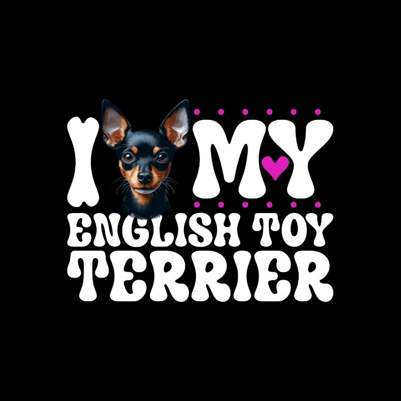 J’adore mon Toy Terrier anglais