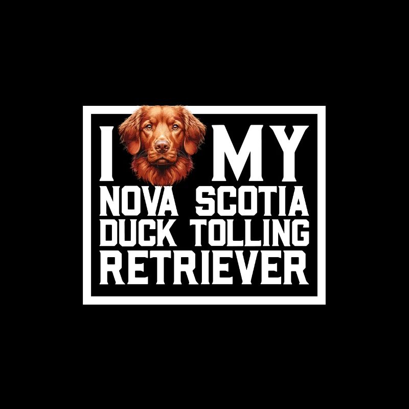 J’adore le Nova Scotia Duck Tolling Retriever