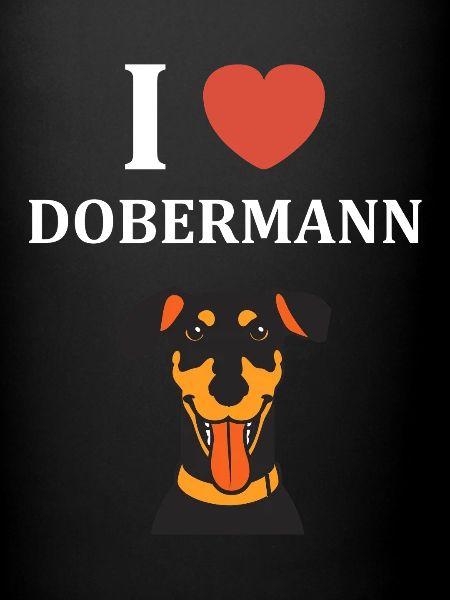 dobermann