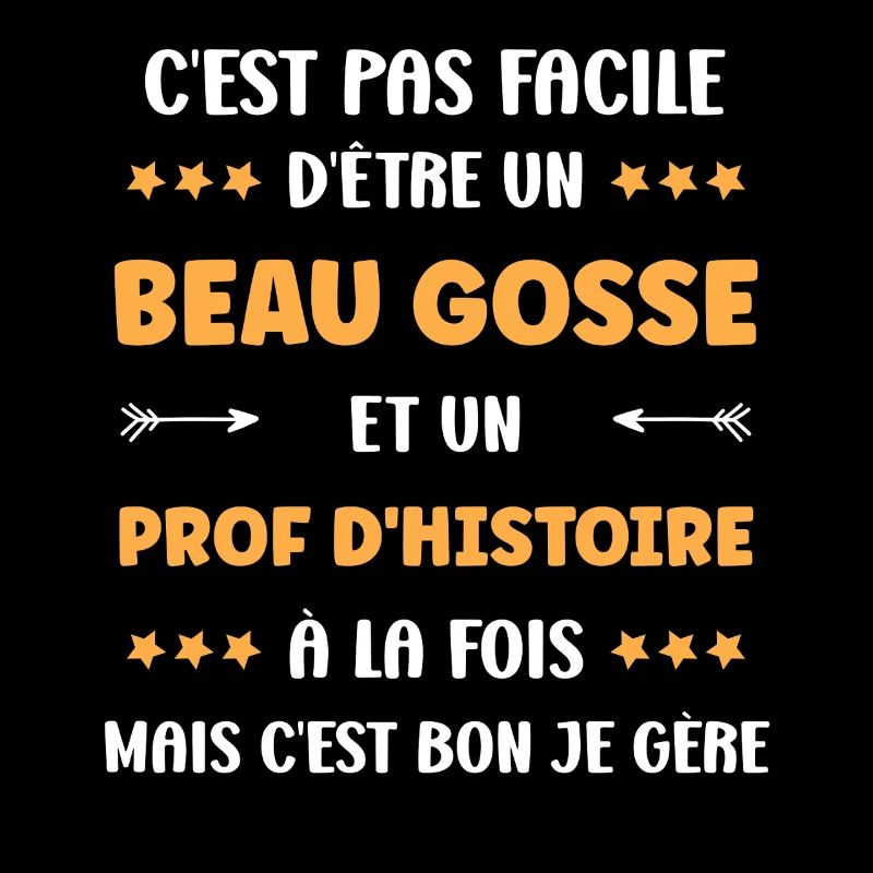 prof histoire