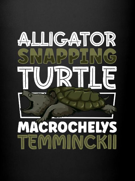 Alligator turtle