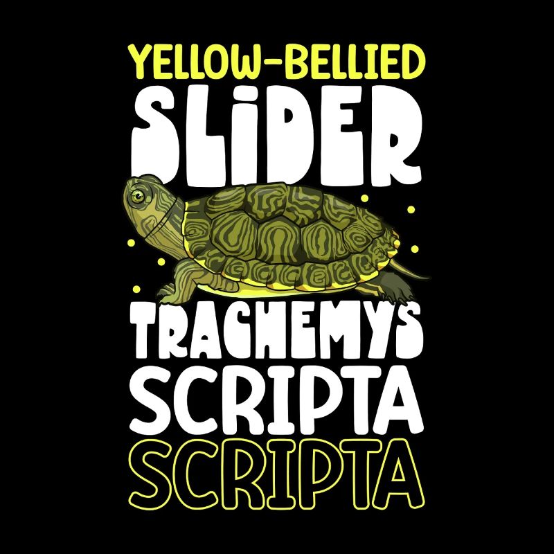 Yellow-cheeked Turtle