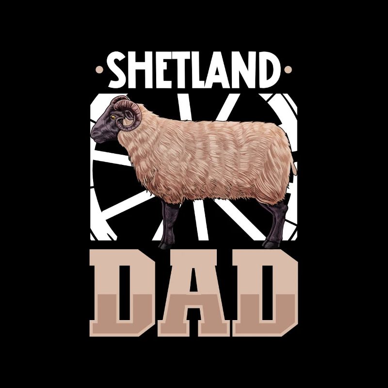 Shetland Sheep Dad