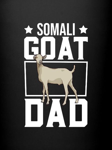 Papa d’un cheval Galla