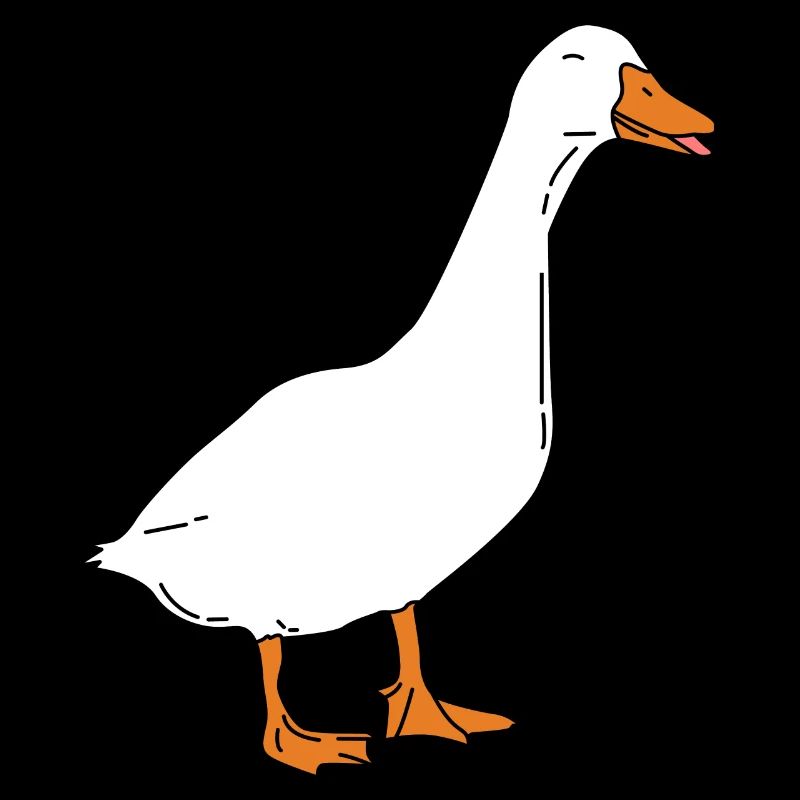 Gans - Gänse Ente Vogel Enten Geschenke