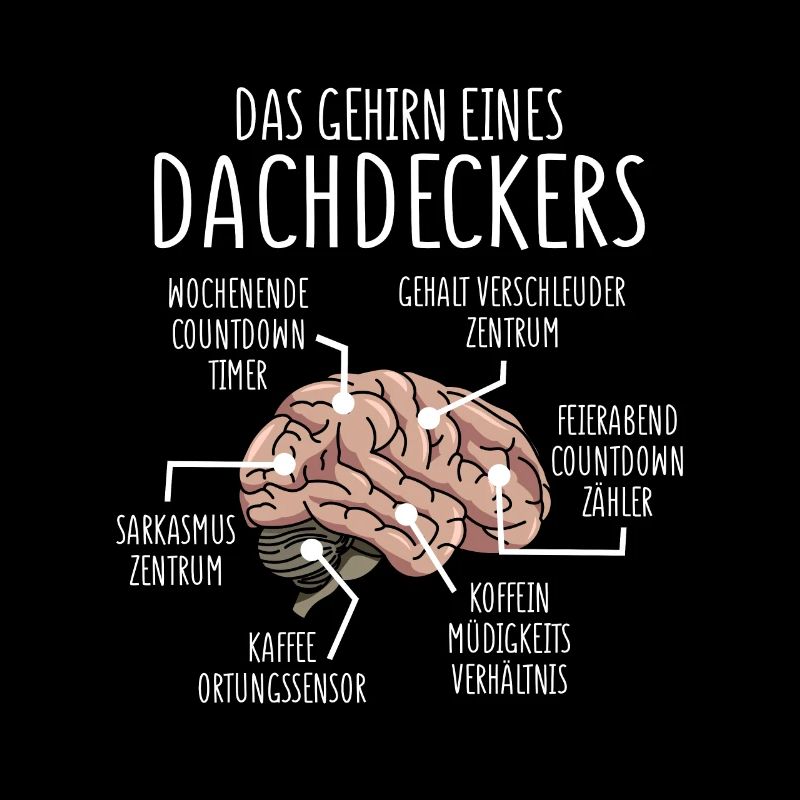 Dachdecker Anatomie