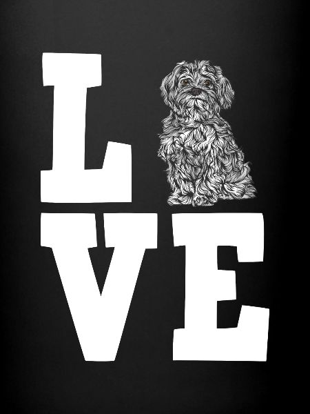 Bolonka Zwetna Chiens cadeaux