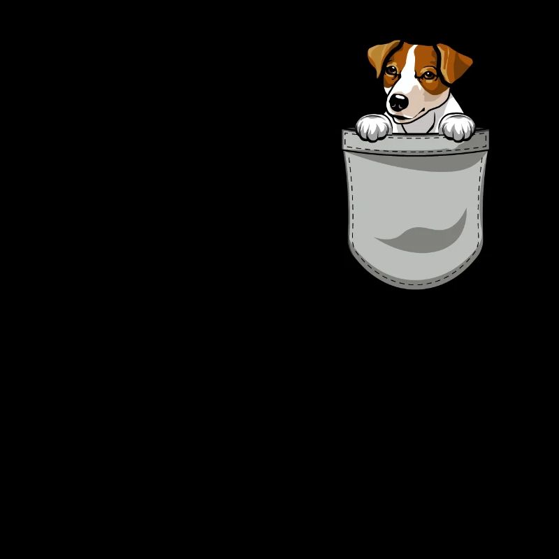 Jack Russell Terrier Chien Chien Propriétaire Chien