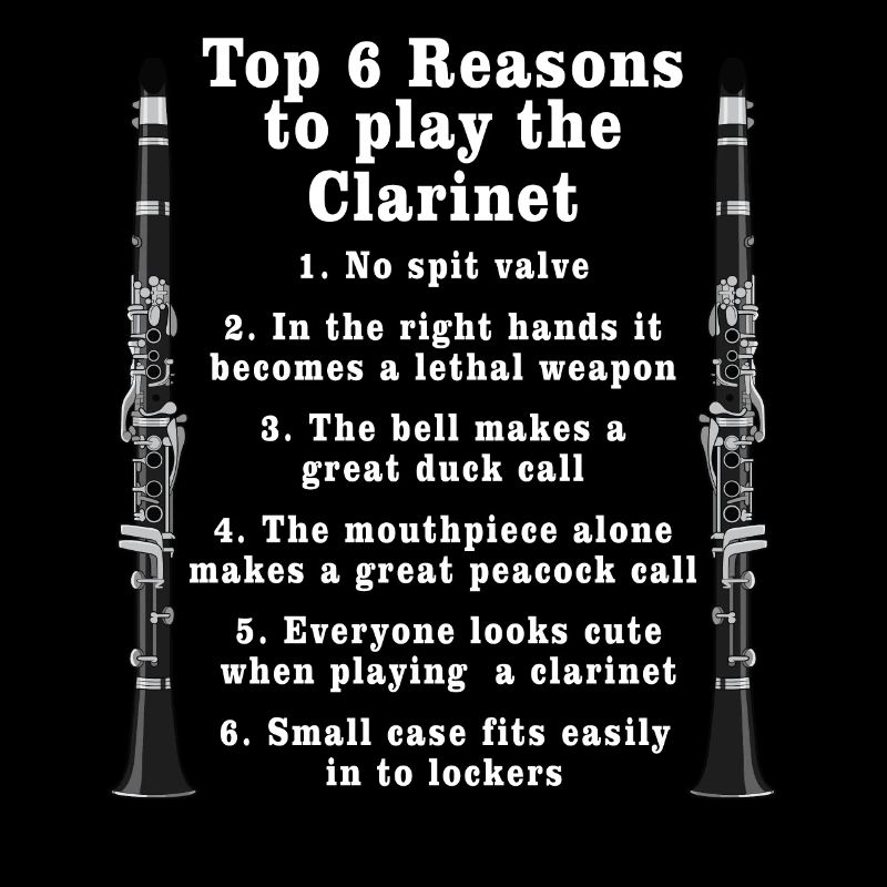 Clarinet Player Orchestra Musicians