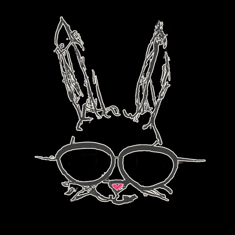 Dessin lapin de Pâques Lunettes de soleil Lunettes de soleil