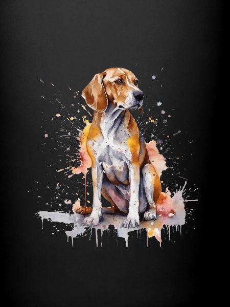 American Foxhound
