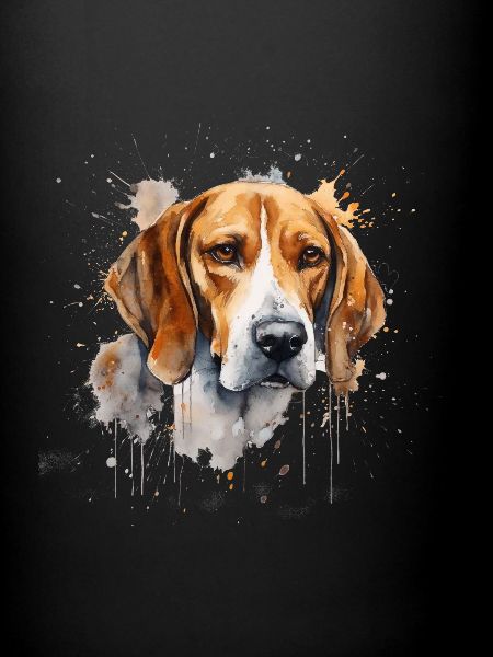 Foxhound américain