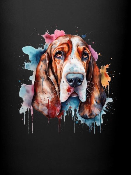 Basset Hound