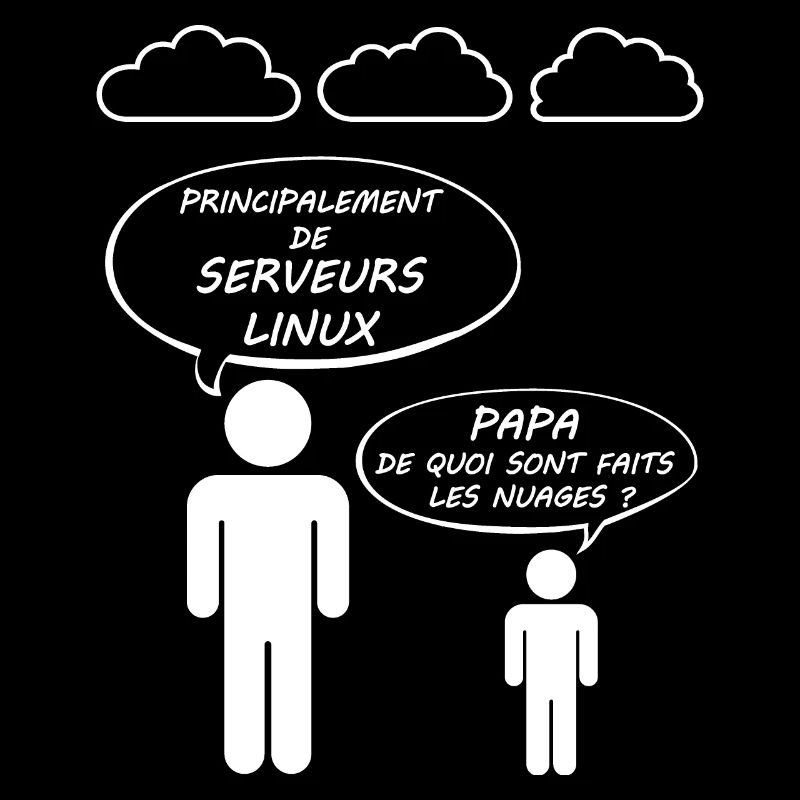 Humour Informatique Informaticien Cloud Computing