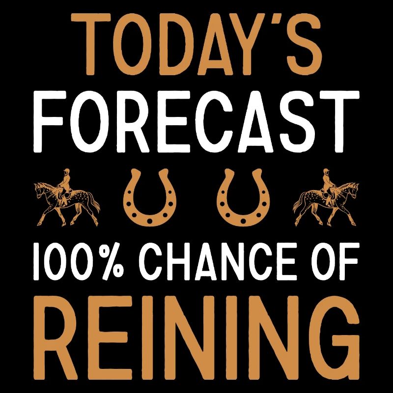 Reiner Today's Forecast Reining