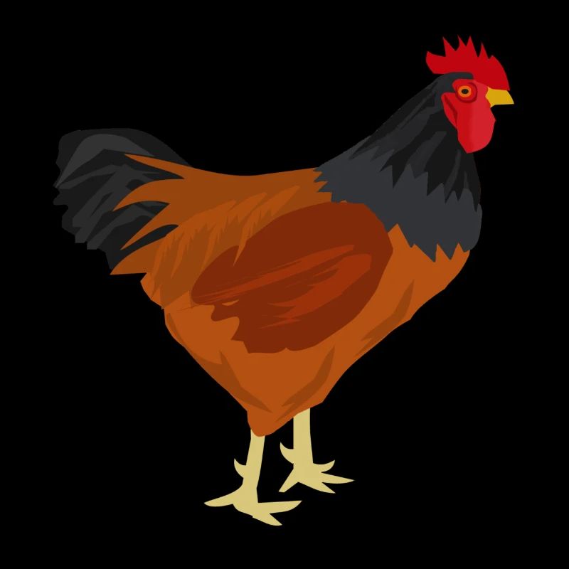 Poulet Barbelé - Idée cadeau
