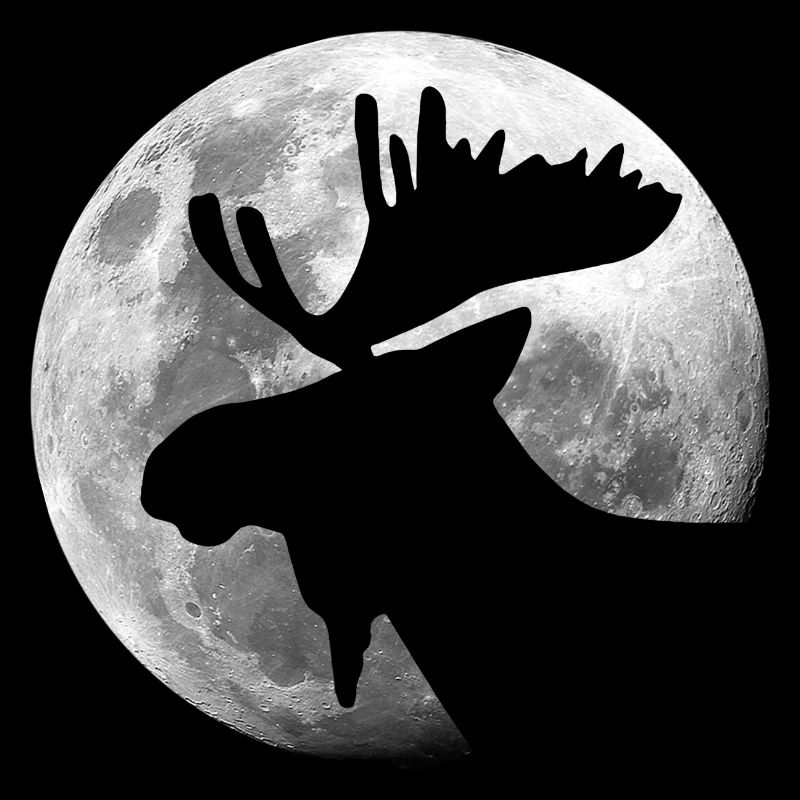 L’orignal dans la forêt de pleine lune animal
