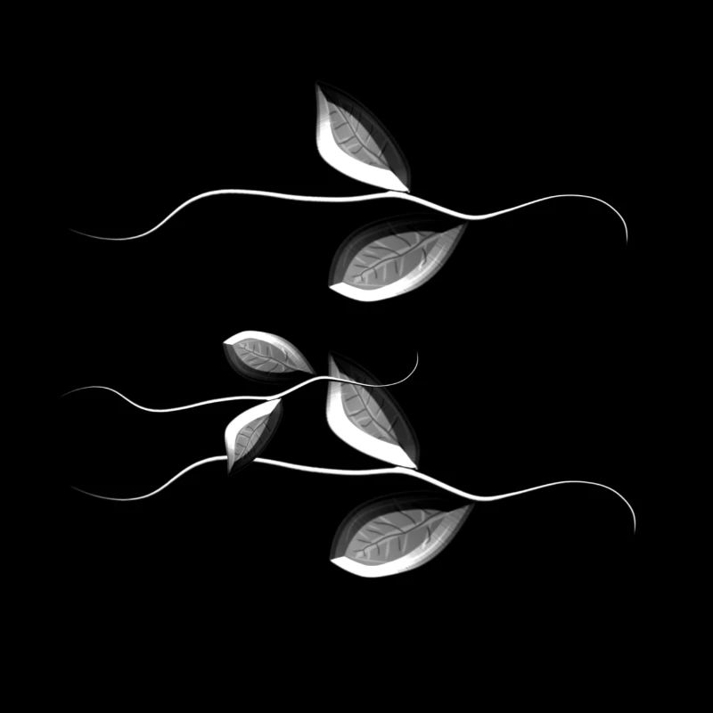 Plant leaves pattern