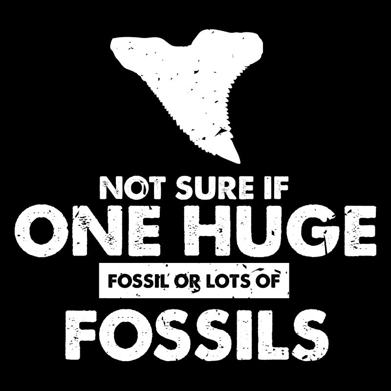 Paleontologist Designs Fossil Hunter Student