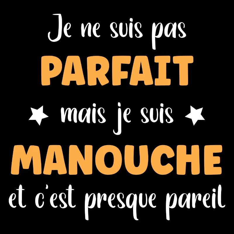 Je suis pas parfait mais manouche