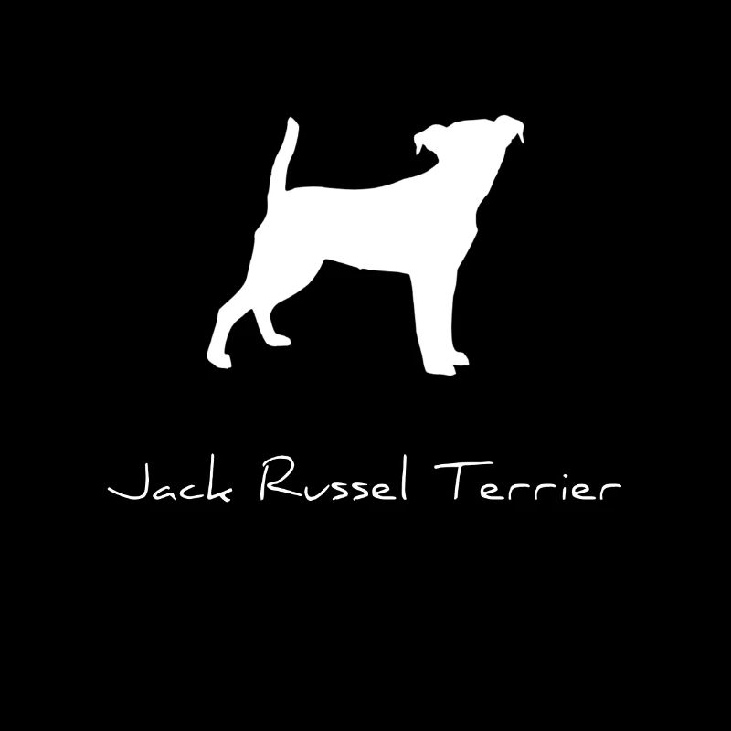Jack Russell Terrier