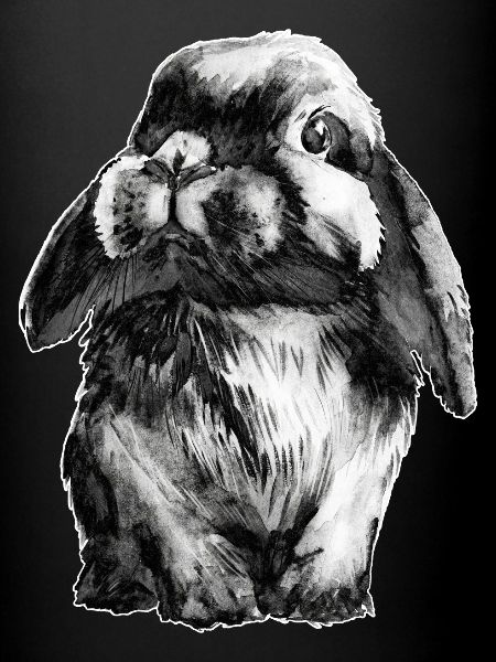 Rabbit Schlapohr