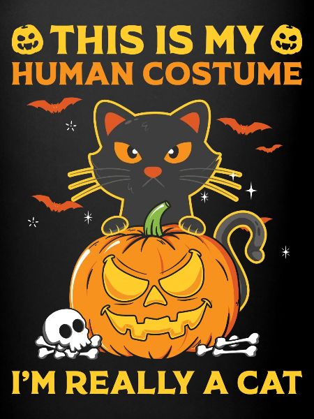 Sorcière chat d’Halloween