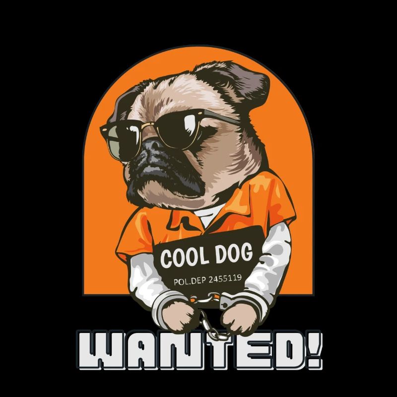 Cool chien recherché!