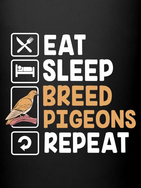 Pigeons pigeons