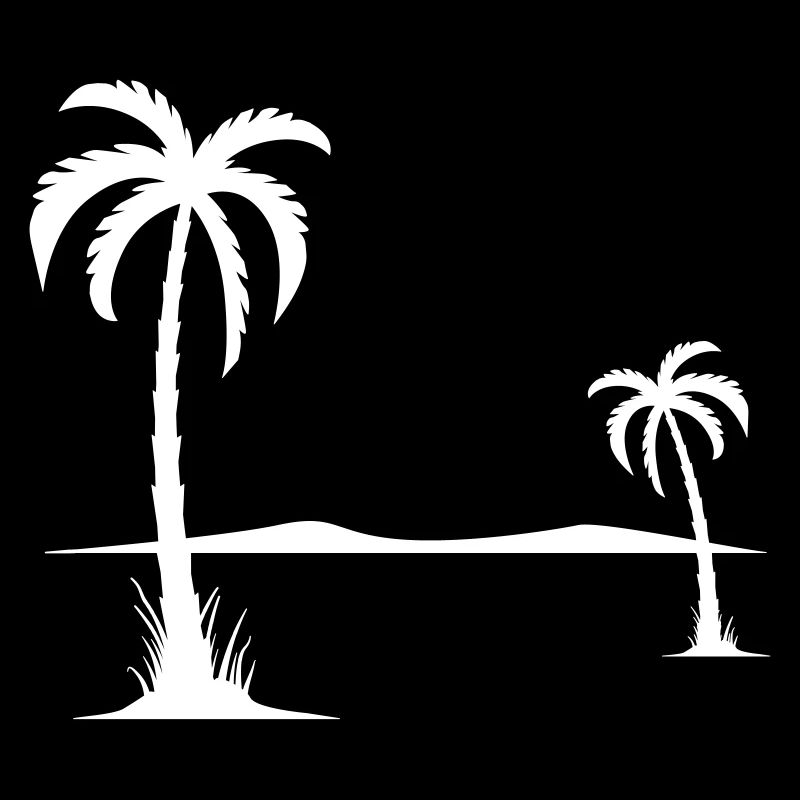 Palm tree on the beach