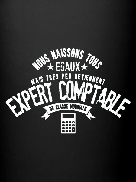 Expert Comptable