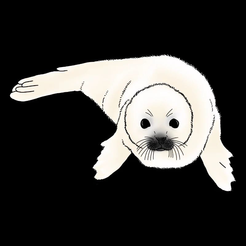 Bébé phoque